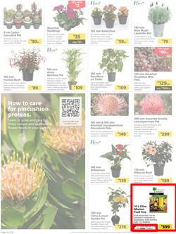 Builders : It's Time To Enjoy Your Outdoor Spaces Again (05 September - 02 October 2023), page 2