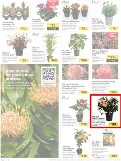 Builders : It's Time To Enjoy Your Outdoor Spaces Again (05 September - 02 October 2023), page 2