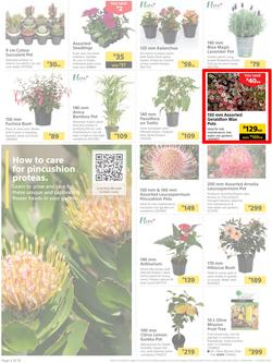 Builders : It's Time To Enjoy Your Outdoor Spaces Again (05 September - 02 October 2023), page 2