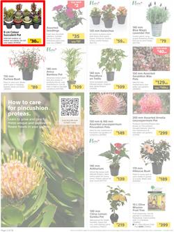 Builders : It's Time To Enjoy Your Outdoor Spaces Again (05 September - 02 October 2023), page 2