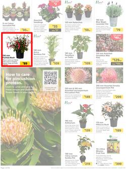 Builders : It's Time To Enjoy Your Outdoor Spaces Again (05 September - 02 October 2023), page 2