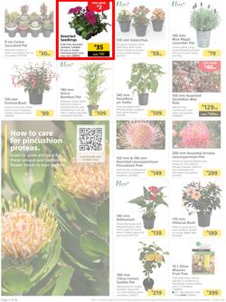 Builders : It's Time To Enjoy Your Outdoor Spaces Again (05 September - 02 October 2023), page 2