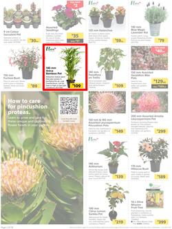 Builders : It's Time To Enjoy Your Outdoor Spaces Again (05 September - 02 October 2023), page 2