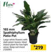 Flora 165mm Spathiphyllum Patio Pot