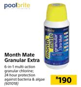 Pool Brite Month Mate Granular Extra