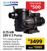 Blue Chem 0.75 KW 230V 2 Pump