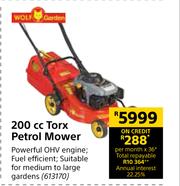 Wolf progression 2 torx petrol mower 200cc on sale