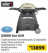 Weber Q3000 Gas Grill