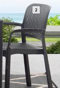 Protea Arm Chair-Each