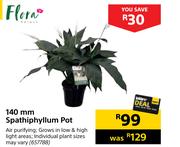 Flora 140mm Spathiphyllum Pot