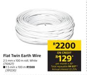 Flat Twin Earth Wire 391230