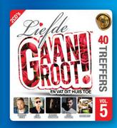 Liefde Gaan Groot! 40 Treffers Vol 5 CD