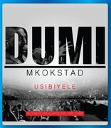 Dumi Mkokstad Usibiyele CD