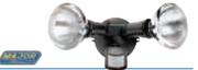 Twin PAR38 Floodlight
