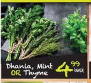 Dhania, Mint Or Thyme