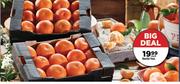 Naartjie Trays-Each