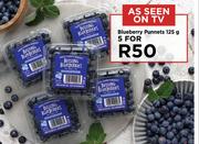 Blueberry Punnets-For 5 x 125g
