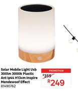 Inspire Mendewoof Effect Plastic Ant IP44 H13cm 300lm 3000K USB Solar Mobile Light 81490762