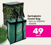 Springboks Cooler Bag-Each