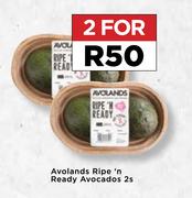 Avolands Ripe 'n Ready Avocados-For 2 x 2's Pack