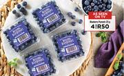 Blueberry Punnets-For 4 x 125g