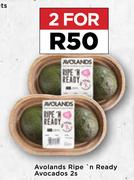 Avolands Ripe n Ready Avocados-For 2 x 2s