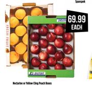 Nectarine Or Yellow Cling Peach Boxes-Each