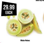 Winter Melons-Each