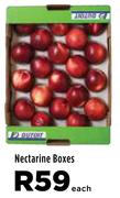 Nectarine Boxes-Each
