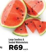 Large Seedless & Seeded Watermelon-Each