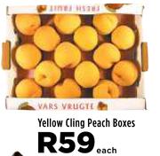 Yellow Cling Peach Boxes-Each