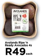 Avolands Ripe n Ready Avocados-4s Each