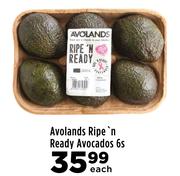 Avolands Ripe n Ready Avocados-6s Each