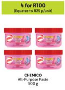 Chemico All Purpose Paste-For 4 x 500g