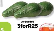 Avocados-For 3