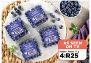 Blueberry Punnets-For 4 x 125g