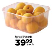 Apricot Punnets-Each