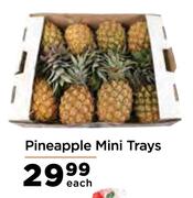 Pineapple Mini Trays-Each