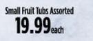 Small Fruit Tubs Assorted-Each