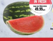 Large Juicy Watermelons-Each