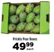 Prickly Pear Boxes-Each