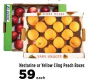Nectarine Or Yellow Cling Peach Boxes-Each
