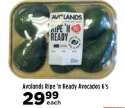 Avolands Ripe n Ready Avocados-6's 