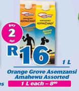 Orange Grove Asemzansi Amahewu Assorted-2 x 1Ltr