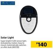 Solar Flair Solar Light