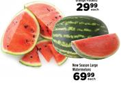 New Season Large Watermelons-Each