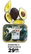 Avolands Ripe'n Ready Avocados-6s Each