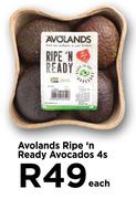 Avolands Ripe'n Ready Avocados-4's Pack Each