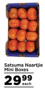 Satsuma Naartjie Mini Boxes-Each