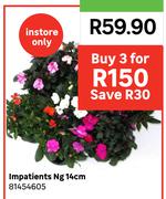 Impatients Ng 14cm 81454605